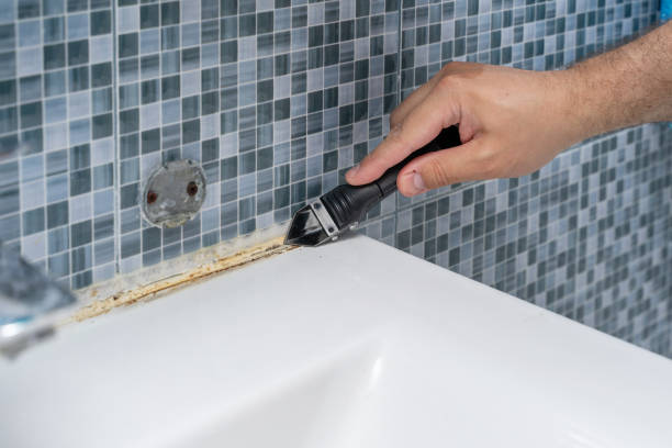 Best Best Mold Removal Companies  in Finderne, NJ