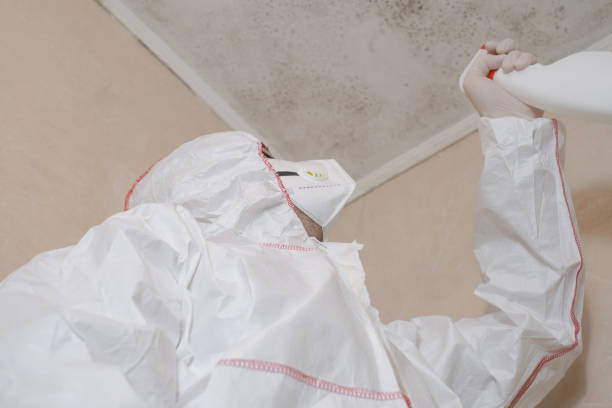 Best Mold Testing  in Finderne, NJ